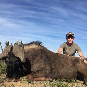 Hunt Black Wildebeest