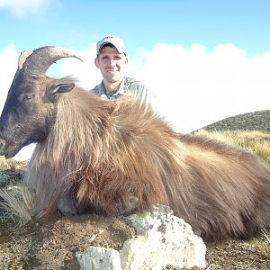 New Zealand Hunting Tahr