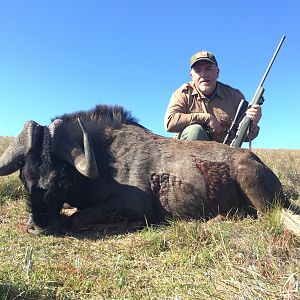 Black Wildebeest Hunt-Eastern Cape