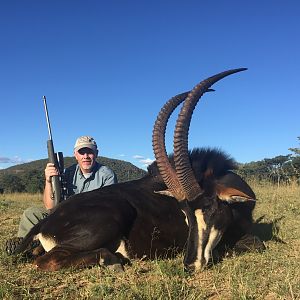 Sable Hunting - Limpopo