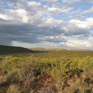 Namibia Nature