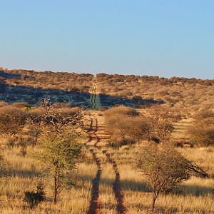 Namibia Nature