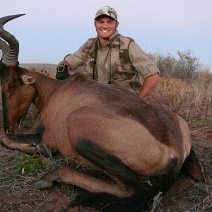 Red Hartebeest Hunting in Namibia