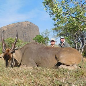 Livingstone eland, Niassa Mozambique