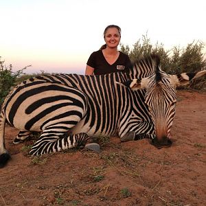 Hunt Namibia Hartmann's Mountain Zebra