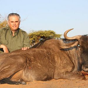 Blue Wildebeest Hunting in Namibia