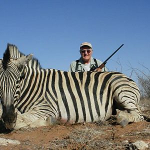 Namibia Burchell's Plain Zebra Hunting