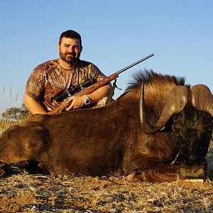 Hunt Namibia Black Wildebeest