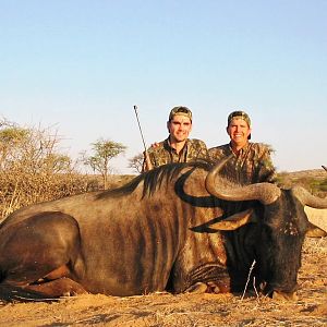 Blue Wildebeest Hunting in Namibia