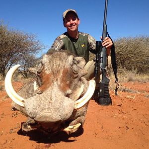 Hunting Warthog in Namibia