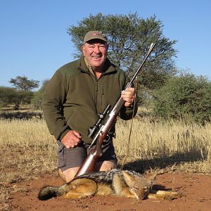 Jackal Namibia Hunt