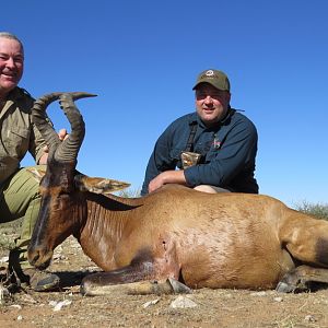 Red Hartebeest Hunting in Namibia