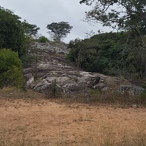 Zimbabwe Area