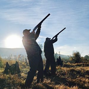 Bird Hunting in South Africa