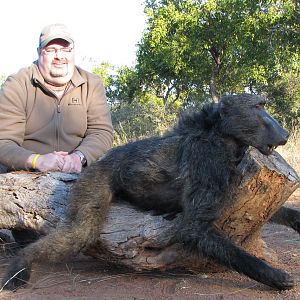 Hunt Baboon South Africa