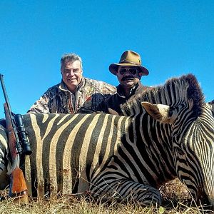 Hunting Zebra South Africa