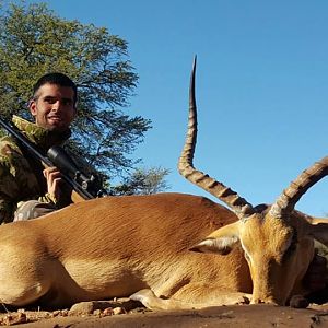 Hunting South Africa Impala