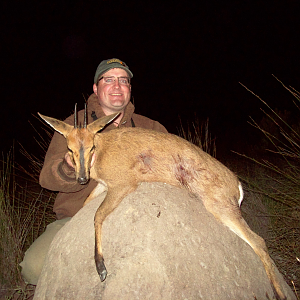 South Africa Duiker Hunting