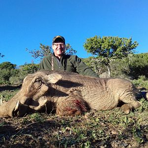 Warthog South Africa Cull Hunt