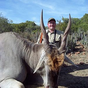 Eland South Africa Hunting