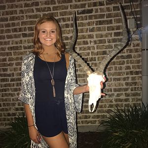 Taxidermy European Skull Mount Impala