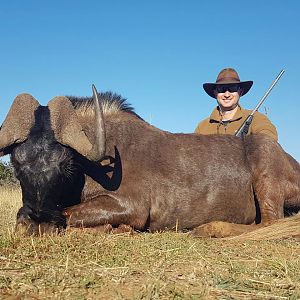 Hunting South Africa Black Wildebeest