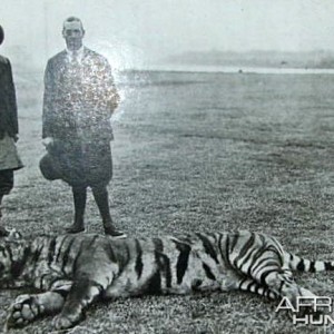 Hunting Tiger, King George and Sir Chandra Sher, Ruler of Nepal, 1911