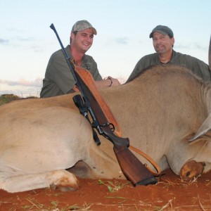 Hunting Eland South Africa