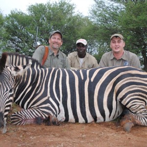Hunting Zebra South Africa