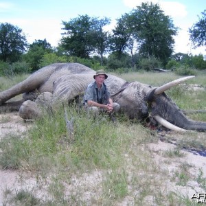 Dr. Jo Hall's Elephant