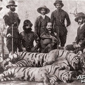 Sher shikar, Tiger hunt in Kerala, India