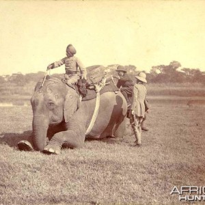 His Imperial Majesty's Shoot, Nepal 1911