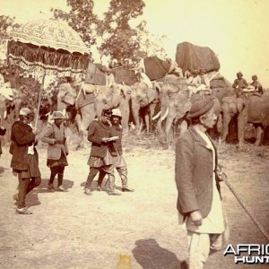 His Imperial Majesty's Shoot, Nepal 1911