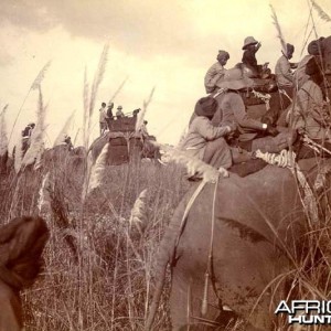 His Imperial Majesty's Shoot, Nepal 1911