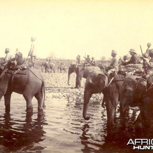 His Imperial Majesty's Shoot, Nepal 1911