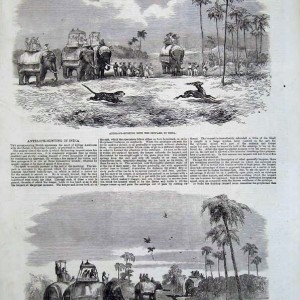 Antelope Hunting, India 1857