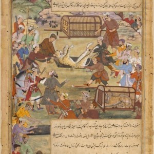Akbar assists in capturing a Cheetah, ca. 1590-1595