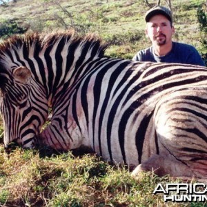 Zebra Hunt East Cape SA