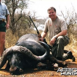 Cape Buffalo