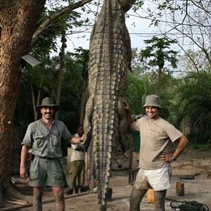 Crocodile hunted in Mozambique