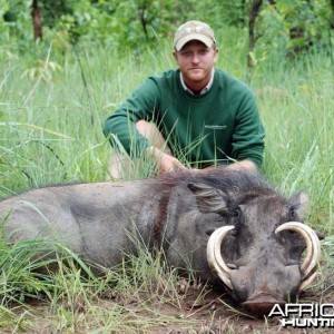 Warthog hunted in CAR with CAWA