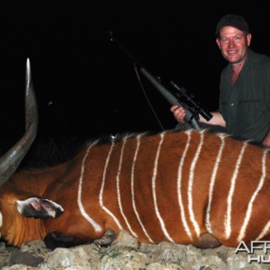 31 1/2 inch Bongo hunted in CAR