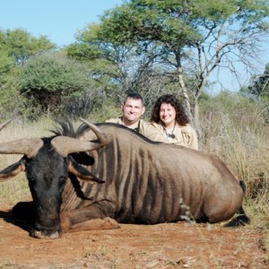 Blue Wildebeest hunt in Limpopo RSA
