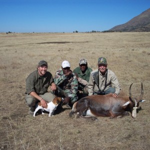 Blesbok Hunt East Cape South Africa