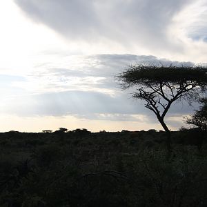 Namibian sky