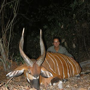 Bongo Hunted in Central Africa CAR