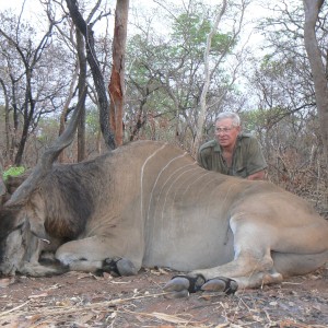 Very old, worn down Derby eland, hunted in CAR