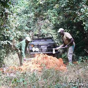 Road Block, Hunting Central African Republic