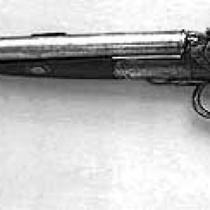 12 Bore Howdah Double Rifle