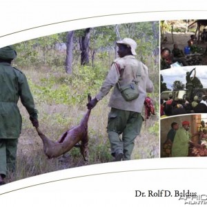 Wildlife Conservation in Africa